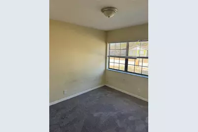 4421 Cobia Drive, Tampa, FL 33617 - Photo 10