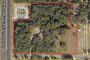 10518 Sumner Rd, Wimauma, FL 33598 - Photo 1