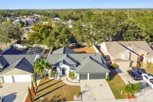 11528 Andy Dr, Riverview, FL 33569 - Photo 4