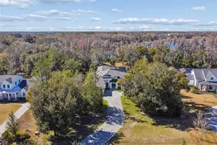 17720 Royal Eagle Ln, Lutz, FL 33549 - Photo 4