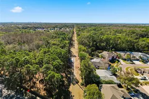 10006 Vista Pointe Dr, Tampa, FL 33635 - Photo 66