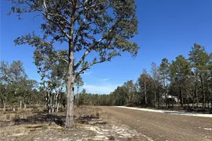 13183 Haven Trail, Weeki Wachee, FL 34614 - Photo 1
