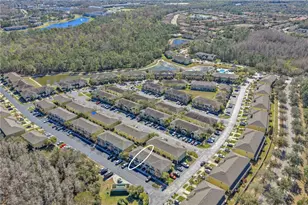 8509 Trail Wind Dr, Tampa, FL 33647 - Photo 24