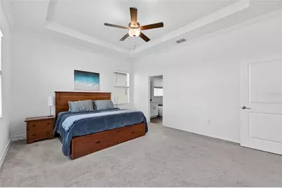 13546 Brook Trout Court, Riverview, FL 33579 - Photo 12