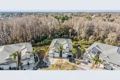 1827 Hammocks Avenue #1827, Lutz, FL 33549 - Photo 34