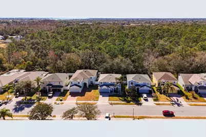 380 Rosalind Lane, Oldsmar, FL 34677 - Photo 86