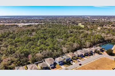 380 Rosalind Lane, Oldsmar, FL 34677 - Photo 88