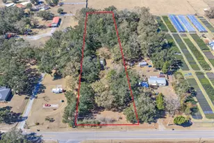 4409 Smith Ryals Rd, Plant City, FL 33567 - Photo 12