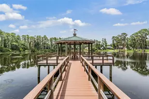 6504 Thoroughbred Loop, Odessa, FL 33556 - Photo 56