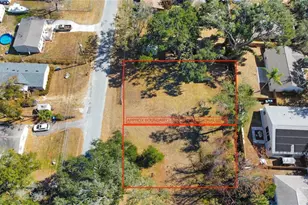 2006 N Taylor Rd, Brandon, FL 33510 - Photo 8