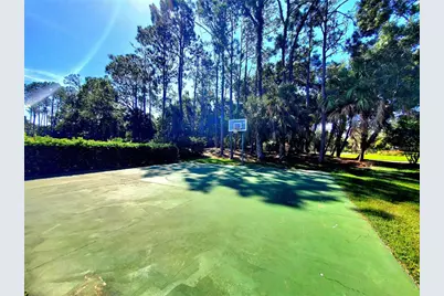 10004 Tree Tops Lake Road, Tampa, FL 33626 - Photo 72