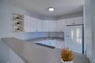 3315 58th Ave S, Saint Petersburg, FL 33712 - Photo 4