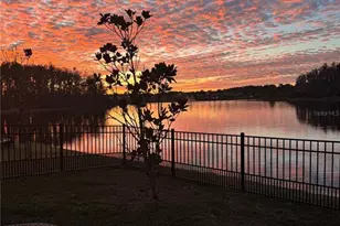 16111 Weathered Windmill Ter, Odessa, FL 33556 - Photo 18