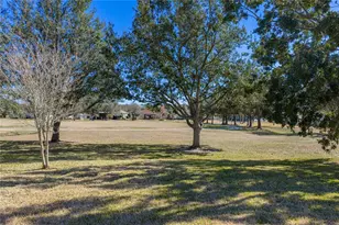 13322 Trailing Moss Dr, Dade City, FL 33525 - Photo 58