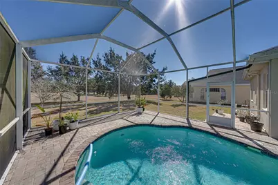 13322 Trailing Moss Drive, Dade City, FL 33525 - Photo 54