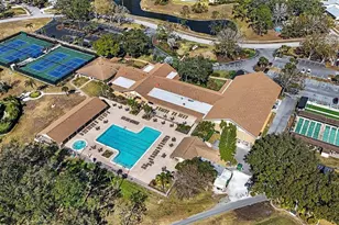 3529 Oak Lake Dr, Palm Harbor, FL 34684 - Photo 30