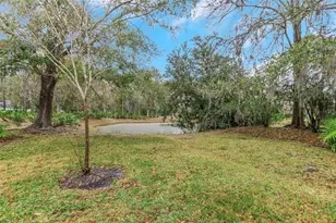 235 Woods Landing Trail, Oldsmar, FL 34677 - Photo 34