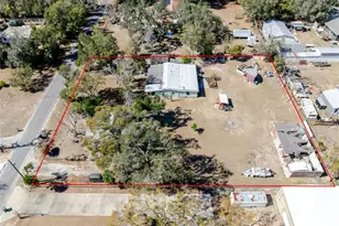 4004 Amber Rd, Valrico, FL 33594 - Photo 4