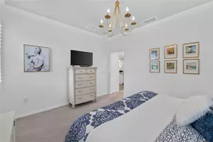 303 Black Rock Ln, Apollo Beach, FL 33572 - Photo 22