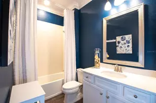 303 Black Rock Ln, Apollo Beach, FL 33572 - Photo 24