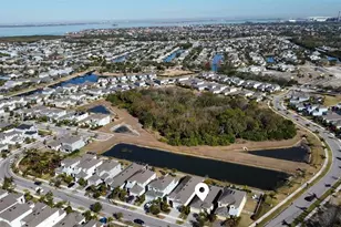 303 Black Rock Ln, Apollo Beach, FL 33572 - Photo 36