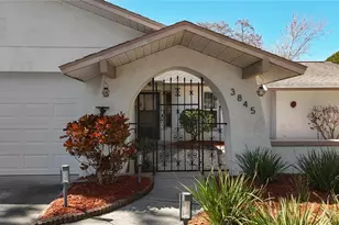 3845 Erin Brook Dr, New Port Richey, FL 34655 - Photo 4