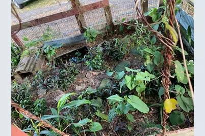 32935 Jesse Jones Avenue, San Antonio, FL 33576 - Photo 16