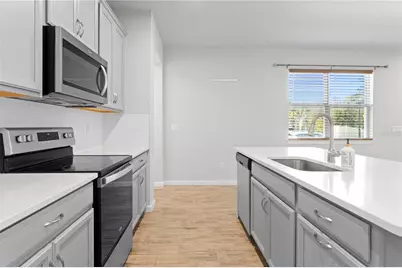 8519 Primrose Willow Place, Odessa, FL 33556 - Photo 10