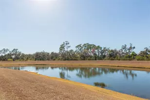 16906 Trite Bend St, Wimauma, FL 33598 - Photo 4