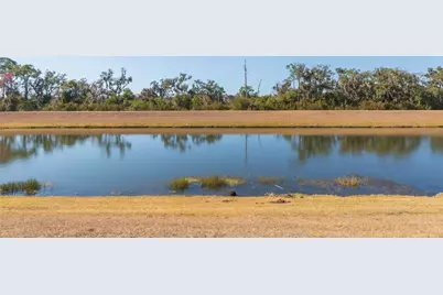 16906 Trite Bend Street, Wimauma, FL 33598 - Photo 6