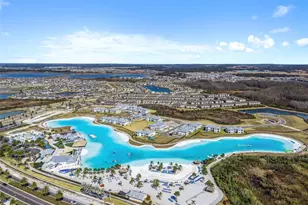 31615 Blue Passing Loop, Wesley Chapel, FL 33545 - Photo 40