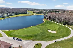 4311 Ave Cannes, Lutz, FL 33558 - Photo 52