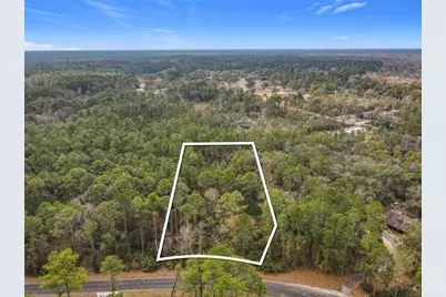 Apricot Avenue, Eustis, FL 32736 - Photo 4