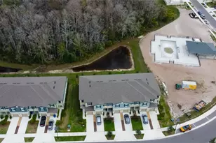 17567 Nectar Flume Dr, Land O Lakes, FL 34638 - Photo 74