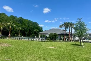 17567 Nectar Flume Dr, Land O Lakes, FL 34638 - Photo 86