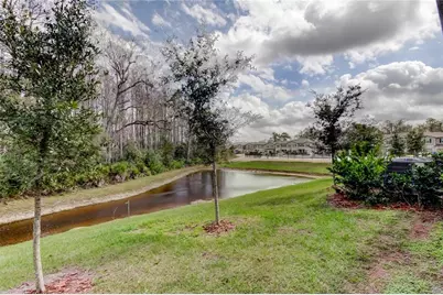 17567 Nectar Flume Drive, Land O Lakes, FL 34638 - Photo 50