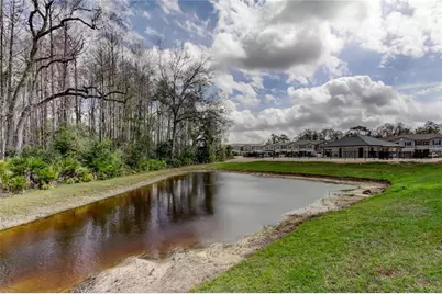 17567 Nectar Flume Drive, Land O Lakes, FL 34638 - Photo 52