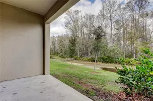 17567 Nectar Flume Dr, Land O Lakes, FL 34638 - Photo 46