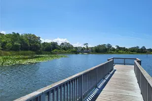 2636 Kavalier Dr, Palm Harbor, FL 34684 - Photo 22