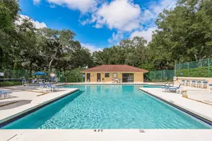 2702 14th Ct, Palm Harbor, FL 34684 - Photo 30