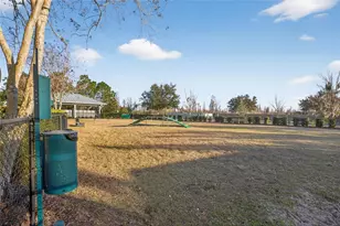 1716 Nature View Dr, Lutz, FL 33558 - Photo 82