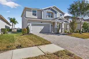 1716 Nature View Dr, Lutz, FL 33558 - Photo 54