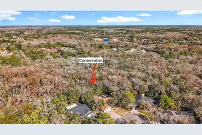 50 Willowood Lane, Oldsmar, FL 34677 - Photo 72