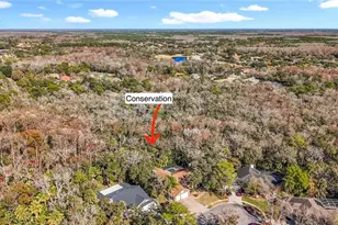 50 Willowood Ln, Oldsmar, FL 34677 - Photo 72