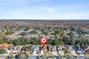 23851 Hastings Way, Land O Lakes, FL 34639 - Photo 42