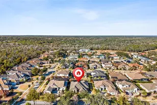 14715 Fishhawk Preserve Dr, Lithia, FL 33547 - Photo 52