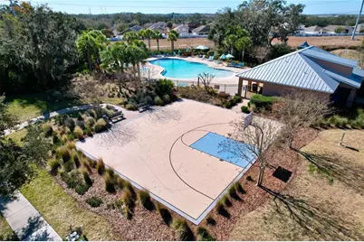 13907 Roseate Tern Lane, Riverview, FL 33579 - Photo 42