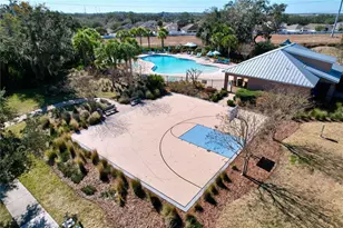 13907 Roseate Tern Ln, Riverview, FL 33579 - Photo 42