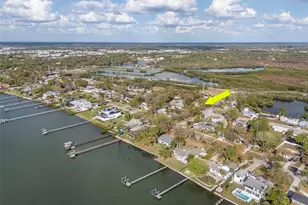 347 Country Club Dr, Oldsmar, FL 34677 - Photo 52
