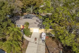 347 Country Club Dr, Oldsmar, FL 34677 - Photo 32